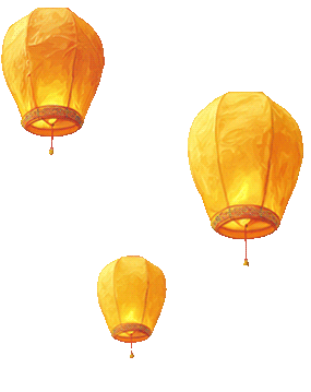 20251014115028_7998 20251014115028_7998