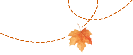 20251110161305_9938 20251110161305_9938
