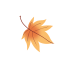 20251110161308_2457 20251110161308_2457