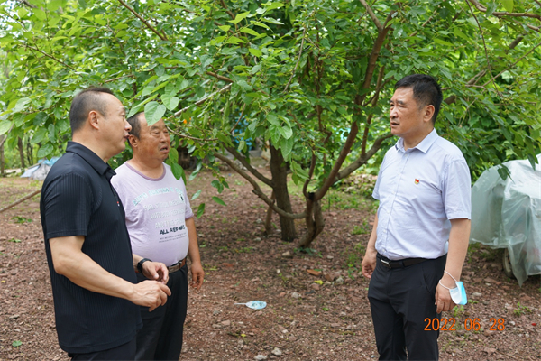 J9游戏·【中国】官方网站