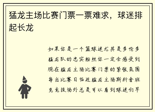 猛龙主场比赛门票一票难求，球迷排起长龙